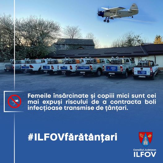 Sănătatea comunității, igiena publică și conservarea spațiilor verzi, în atenția Consiliului Județean Ilfov (P)