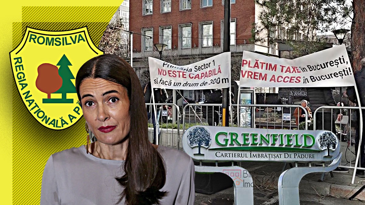 EXCLUSIV | Soluția pentru ”coșmarul Greenfield”, la mâna primarului Clotilde Armand. Revenirea la drumul care taie Pădurea Băneasa, salvarea temporară