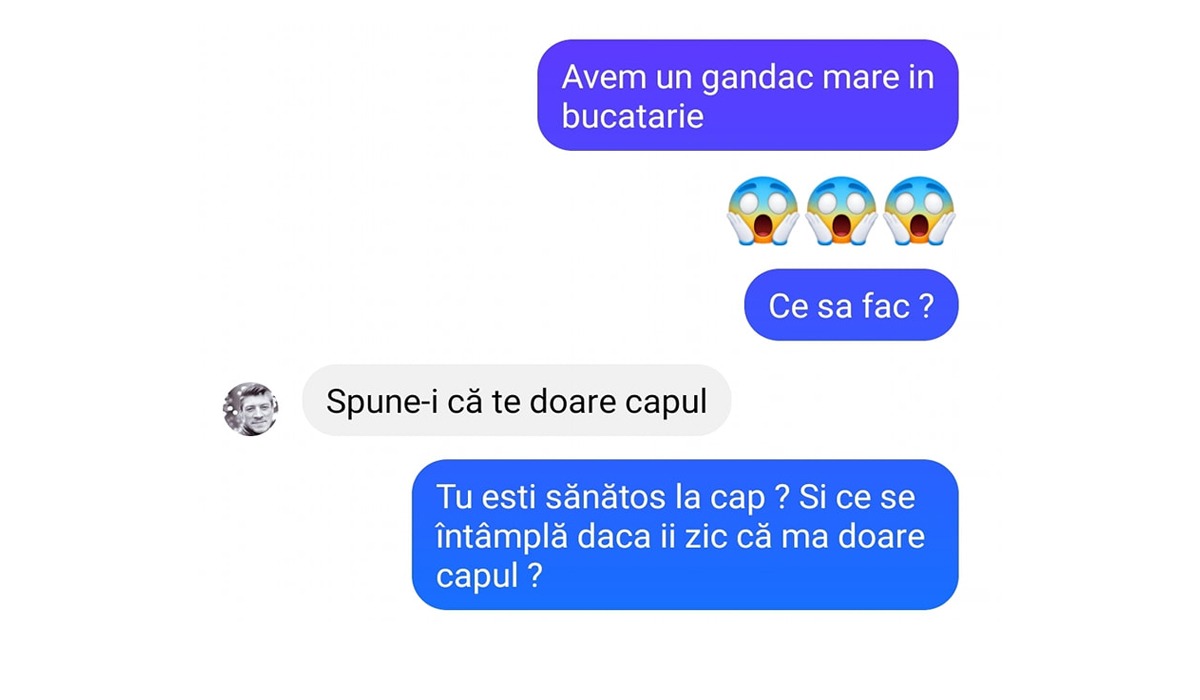 BANC| „Avem un gândac în bucătărie!” – „Spune-i că te doare capul”