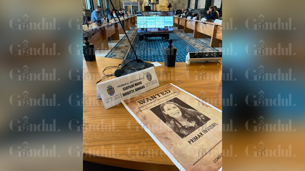 EXCLUSIV FOTO | Este fabulos ce a apărut pe locul unde trebuia să stea Clotilde Armand. „Măcar așa să o mai vedem și noi. Este primarul invizibil”