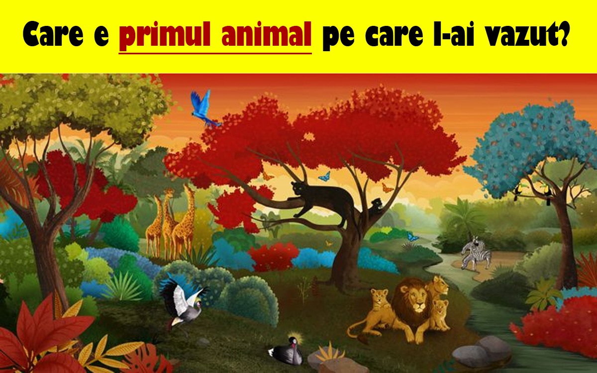 Test de personalitate | Primul animal pe care îl vezi îți va spune care e cea mai mare problemă a ta