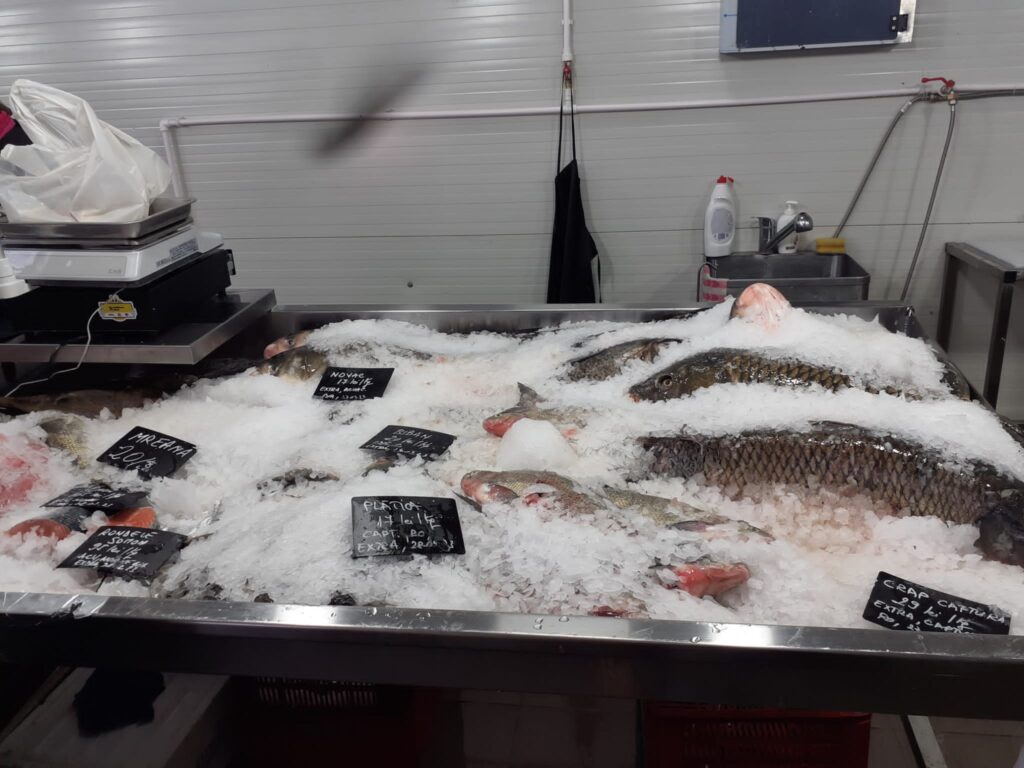 Control în hala de pește din Piața Obor. Au fost CONFISCATE peste 250 de kilograme de pește și aplicate amenzi de 72.000 de lei
