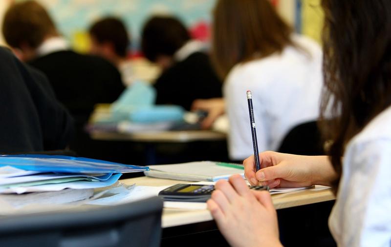 Ligia Deca: Un elev exmatriculat poate fi reînmatriculat la o altă școală