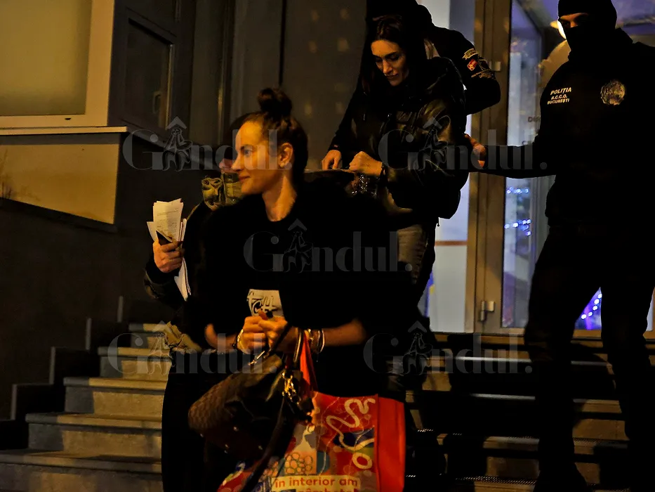 Dezvăluiri șocante din ANCHETA fraților Tate. Fosta polițistă Luana Radu a accesat baza de date a MAI, ca să afle date din anchetă. ”Era imposibil fără sprijinul altor persoane”