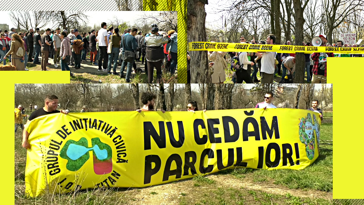 VIDEO | Peste o mie de oameni au protestat pentru salvarea zonei retrocedate din Parcul IOR. „Copacii sunt masacrați”