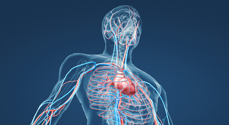 Alimente benefice. REDUC riscul de infarct și elimină colesterolul