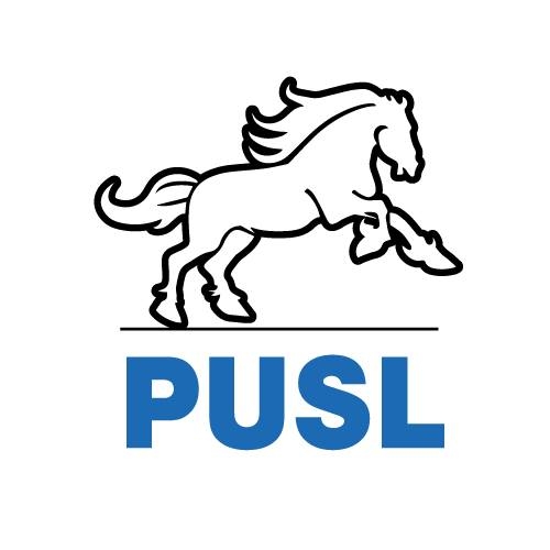 USR-iștii se calcă pe bătături cu PUSL-iștii la modificarea Codului de procedură fiscală