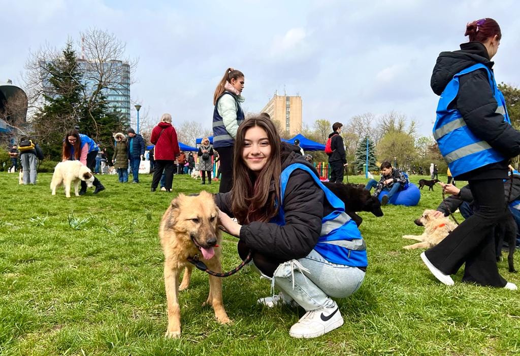 Primăria Capitalei anunță un nou târg de adopții de căței și pisici, la Arena Națională