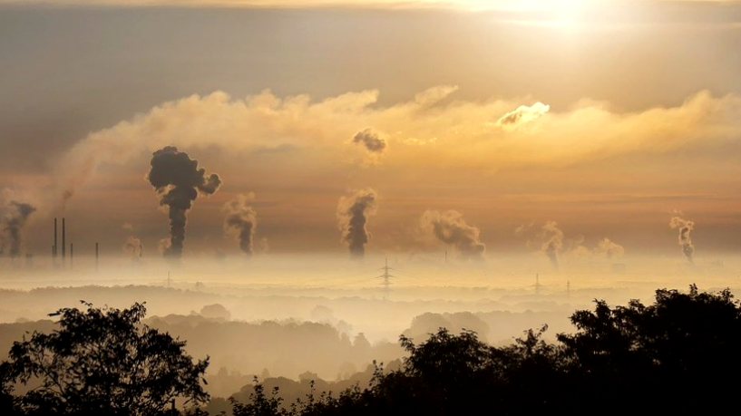 Cum putem reduce AMPRENTA de carbon în preajma Sărbătorilor Pascale?