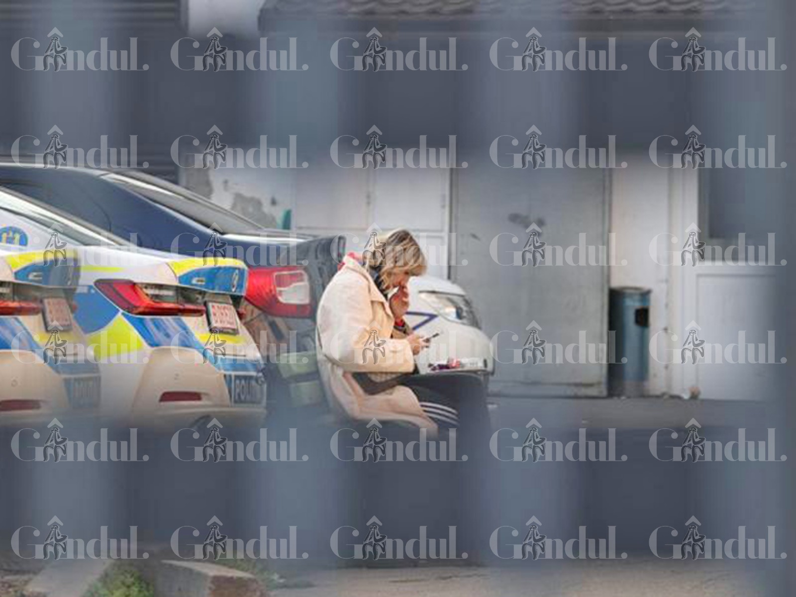 Monica Odagiu Sus inut De Familie La Audierile De Dup Accident monica-odagiu-sus-inut-de-familie-la-audierile-de-dup-accident