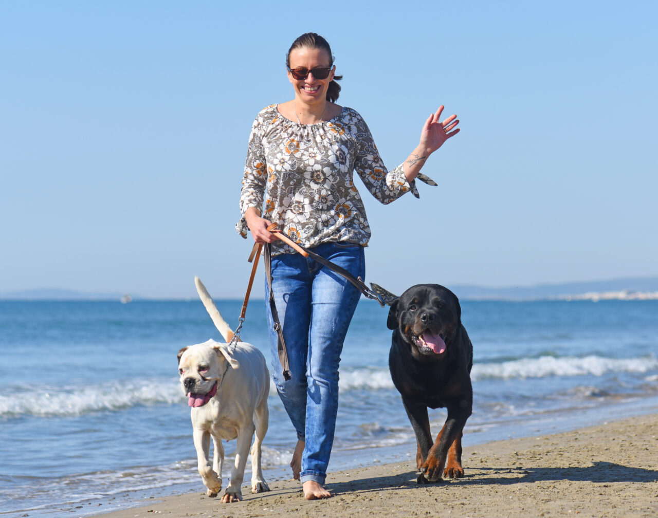 Vrei să îți iei câinele cu tine la mare de 1 Mai? Ce poți să pățești dacă mergi cu el la plajă și nu îi pui lesa
