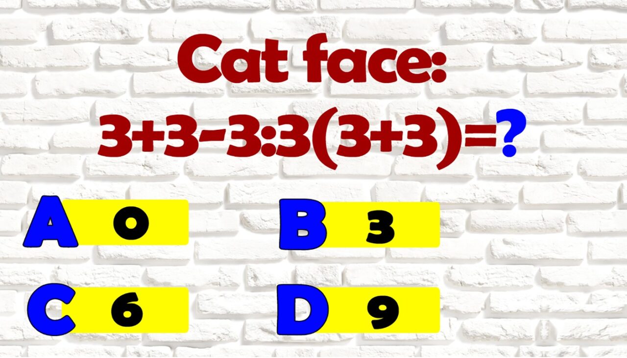 Test IQ pentru matematicieni | Cât face 3+3-3:3(3+3)?