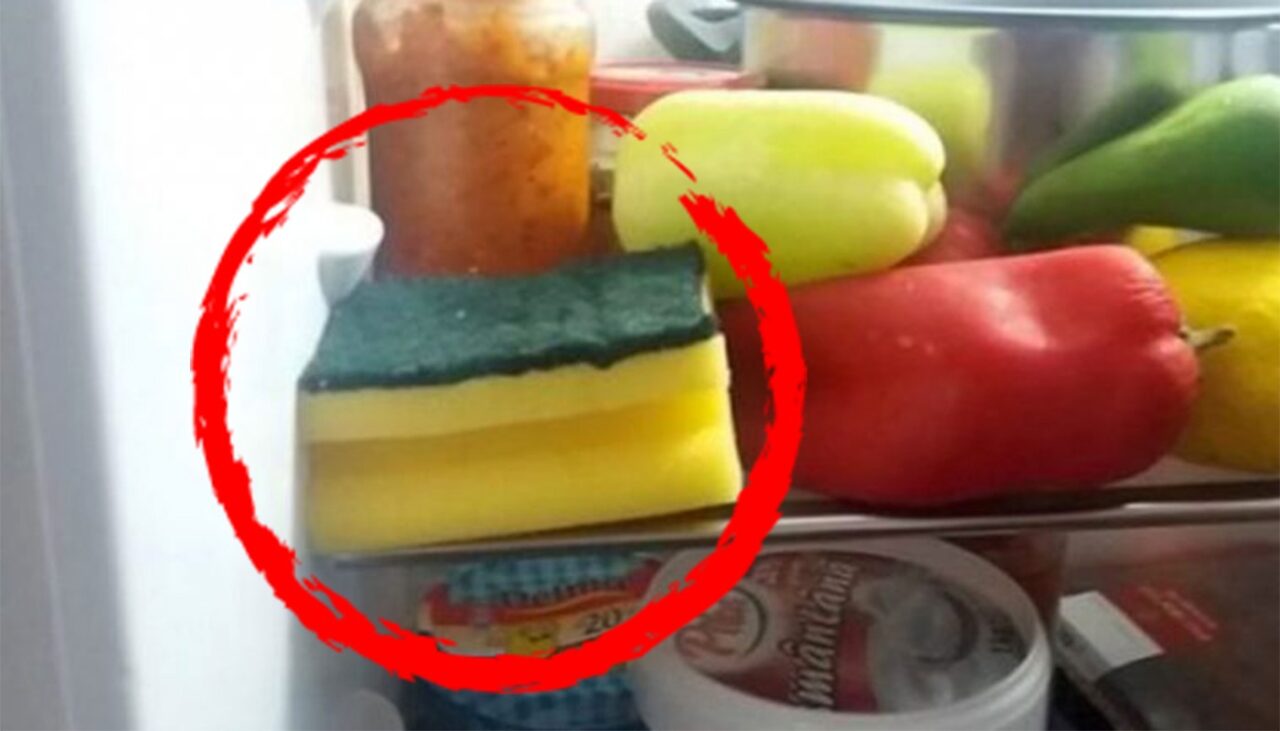TRUCUL din bucătărie știut de puțini români. Ce se întâmplă dacă lași un burete de vase în frigider