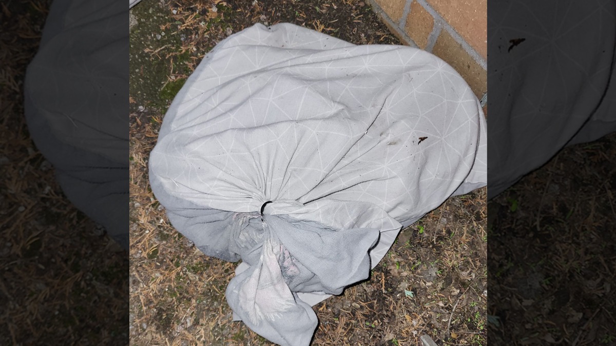 FOTO | Ce a găsit o femeie pe marginea drumului, în mai multe fețe de pernă. „Instinctul meu a știut că înăuntru se afla ceva viu”