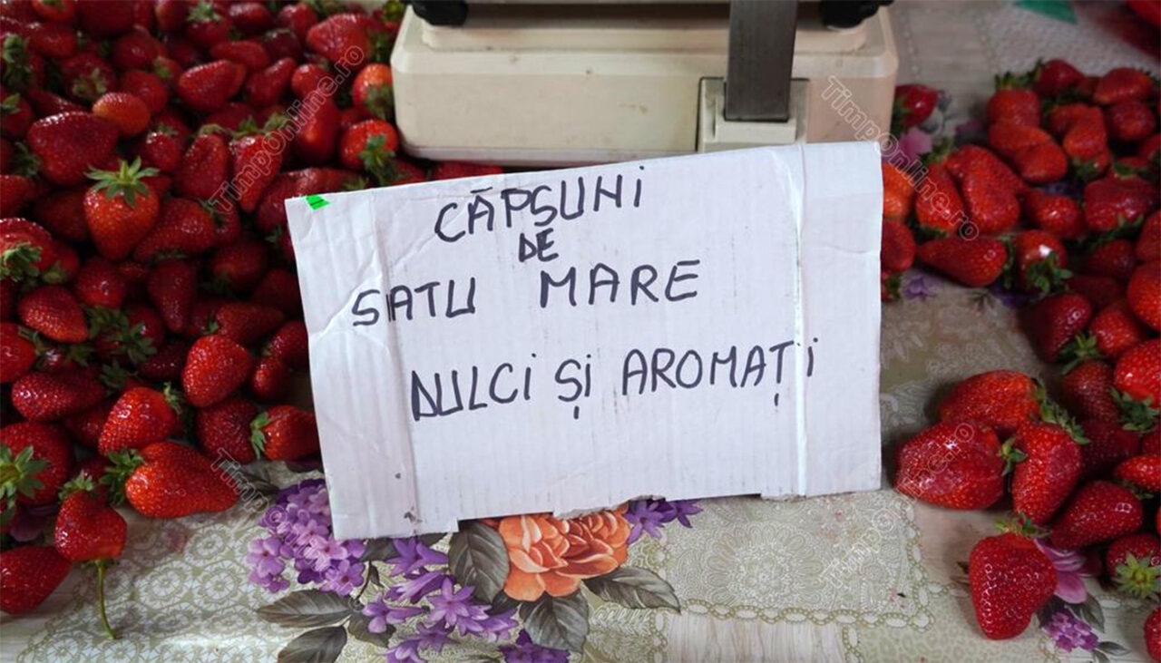 Au apărut primele CĂPȘUNE românești din 2023. Ireal câți lei costă 1 kilogram
