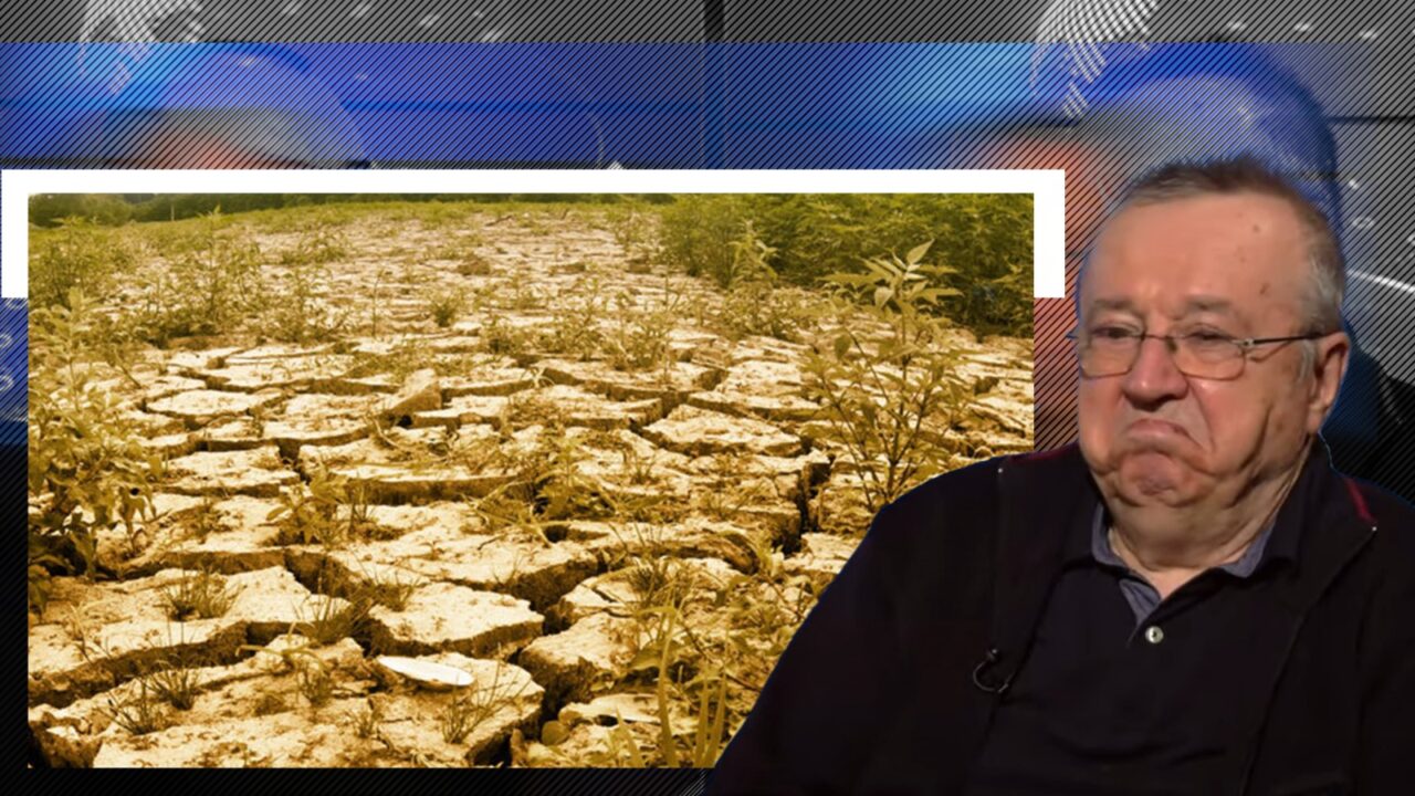 Ion Cristoiu, despre importul de cereale din Ucraina: „România a SACRIFICAT agricultura. Trebuia să acționăm acum mult timp”