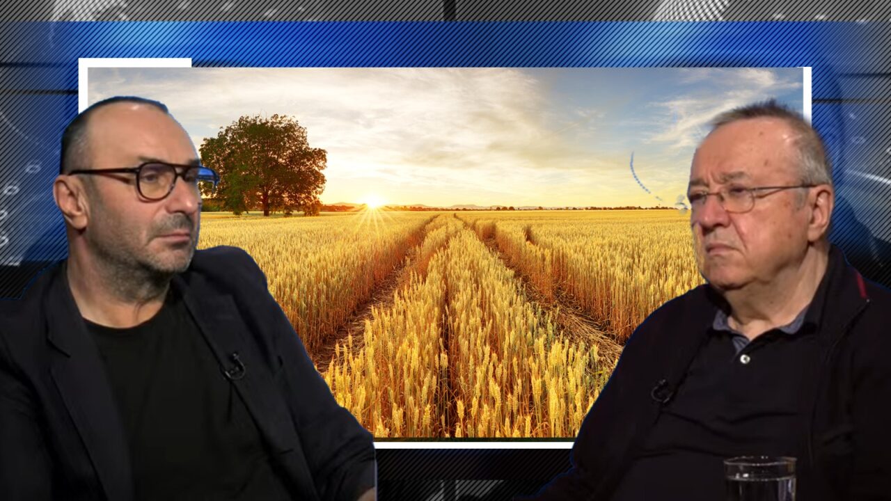 Ion Cristoiu: „Agricultura – un domeniu în care România făcea ceva. Nu știm să ne apărăm INTERESUL național”