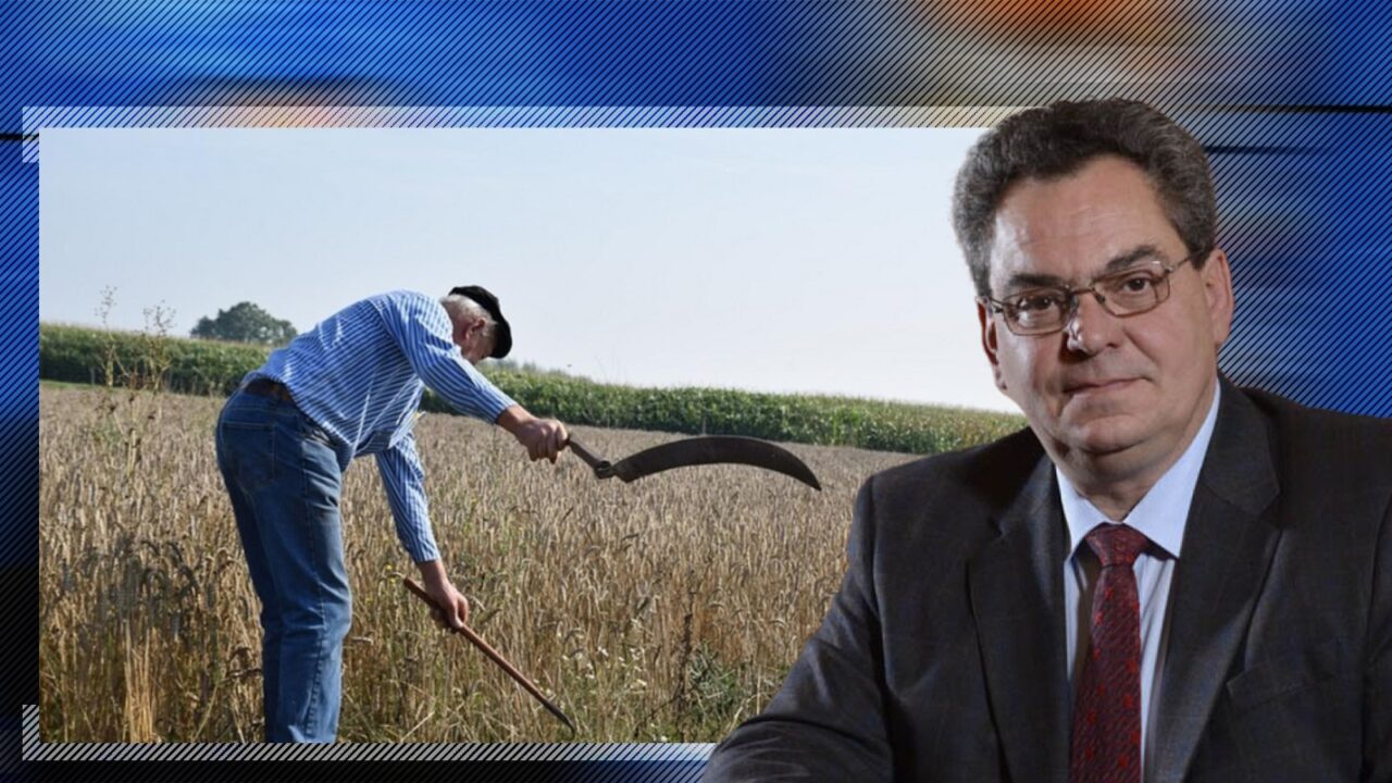 Mihai Anghel, despre agricultura din România: „Producem scump din cauza taxelor”