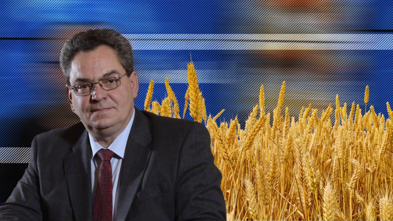 Mihai Anghel: „Grâul românesc stă în hambarele producătorilor de cereale”