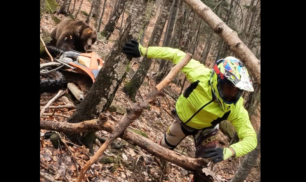 VIDEO| Alec Dumitrescu, unul dintre cei mai buni piloți enduro români, ATACAT de un urs „deranjat” din somn de motocicletă