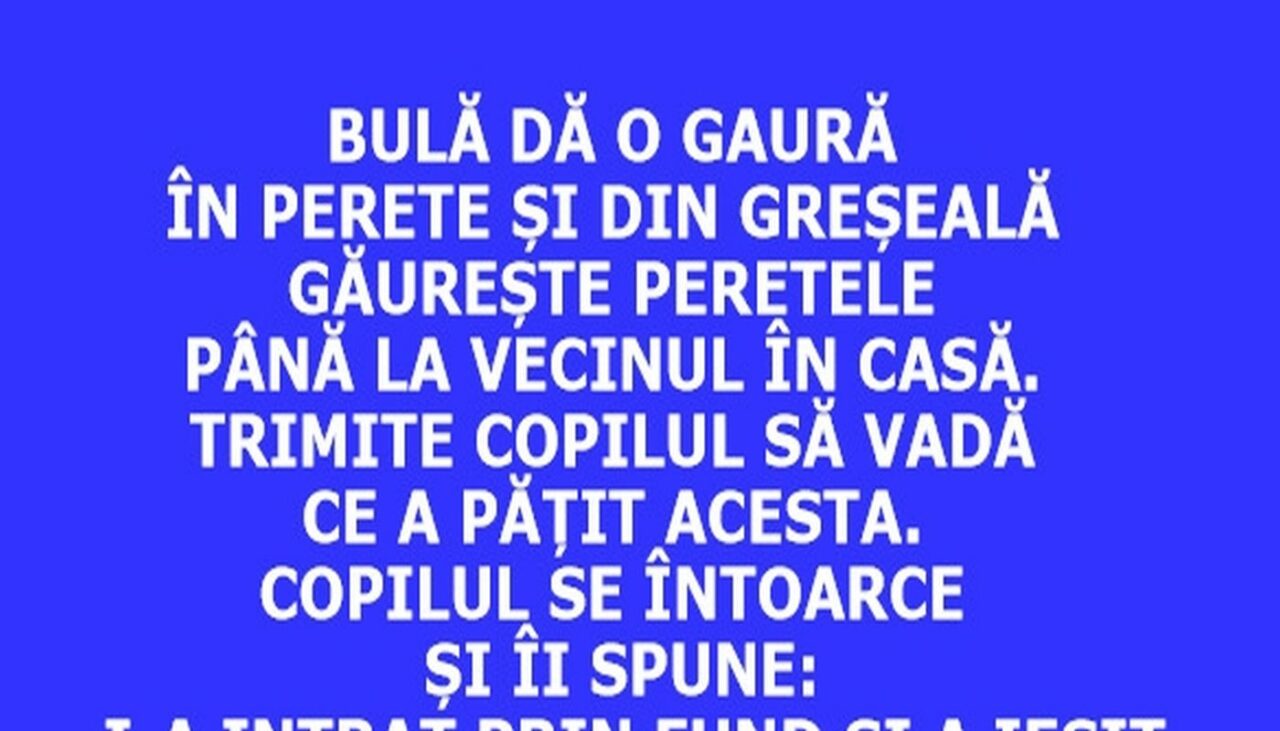 BANC | Bulă dă o gaură în perete