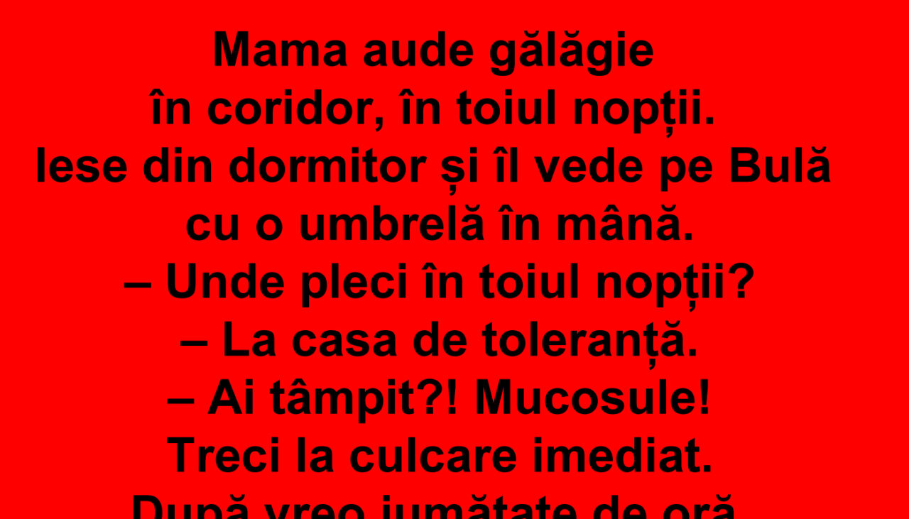 BANC | Bulă merge la casa de toleranță