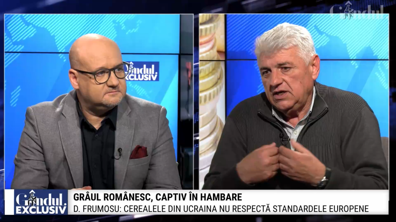 Ce influență au cerealele din Ucraina. Preşedintele Sindalimenta: „Nu este normal să fie luate măsuri care afectează activitatea și viața românului”