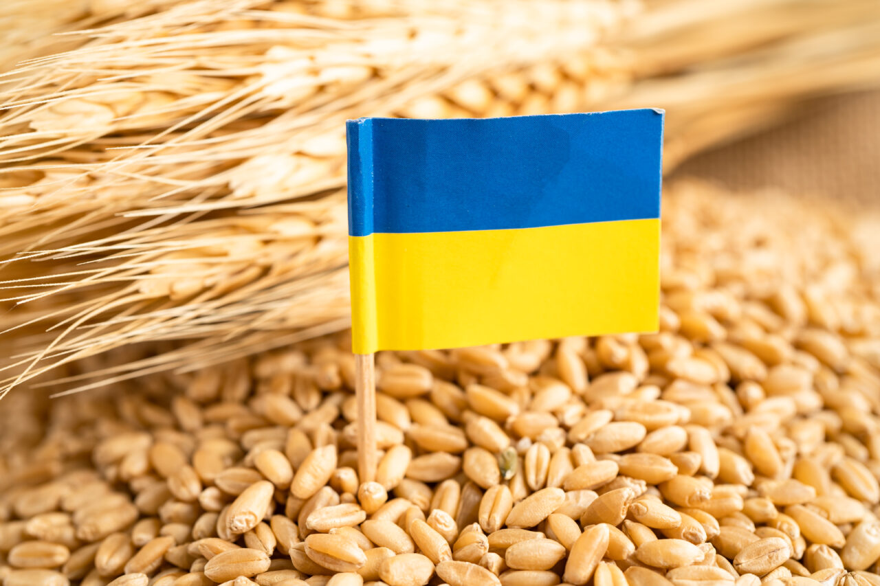 Ucraina, nemulțumită de RESTRICȚIILE impuse de unele state UE importurilor de cereale. „Sunt inacceptabile, nu respectă Acordul de Asociere”