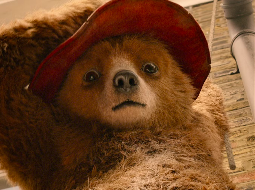 Producția pentru „Paddington in Peru” va începe în iulie