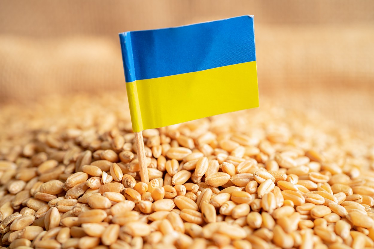 UE ar putea cumpăra cereale ucrainene pentru a reduce tensiunile dintre Ucraina și țările vecine