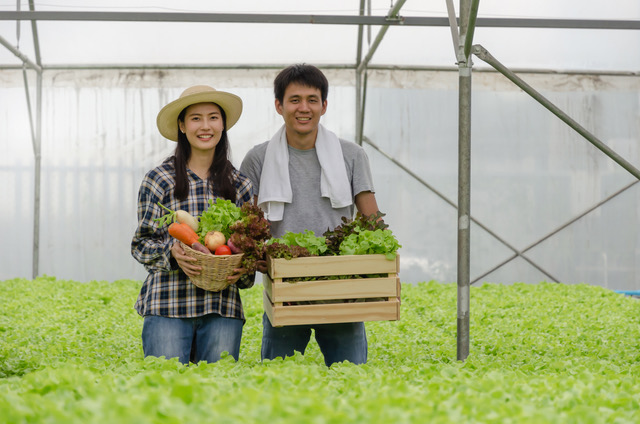 Filipine trimite muncitori în România pentru a salva AGRICULTURA