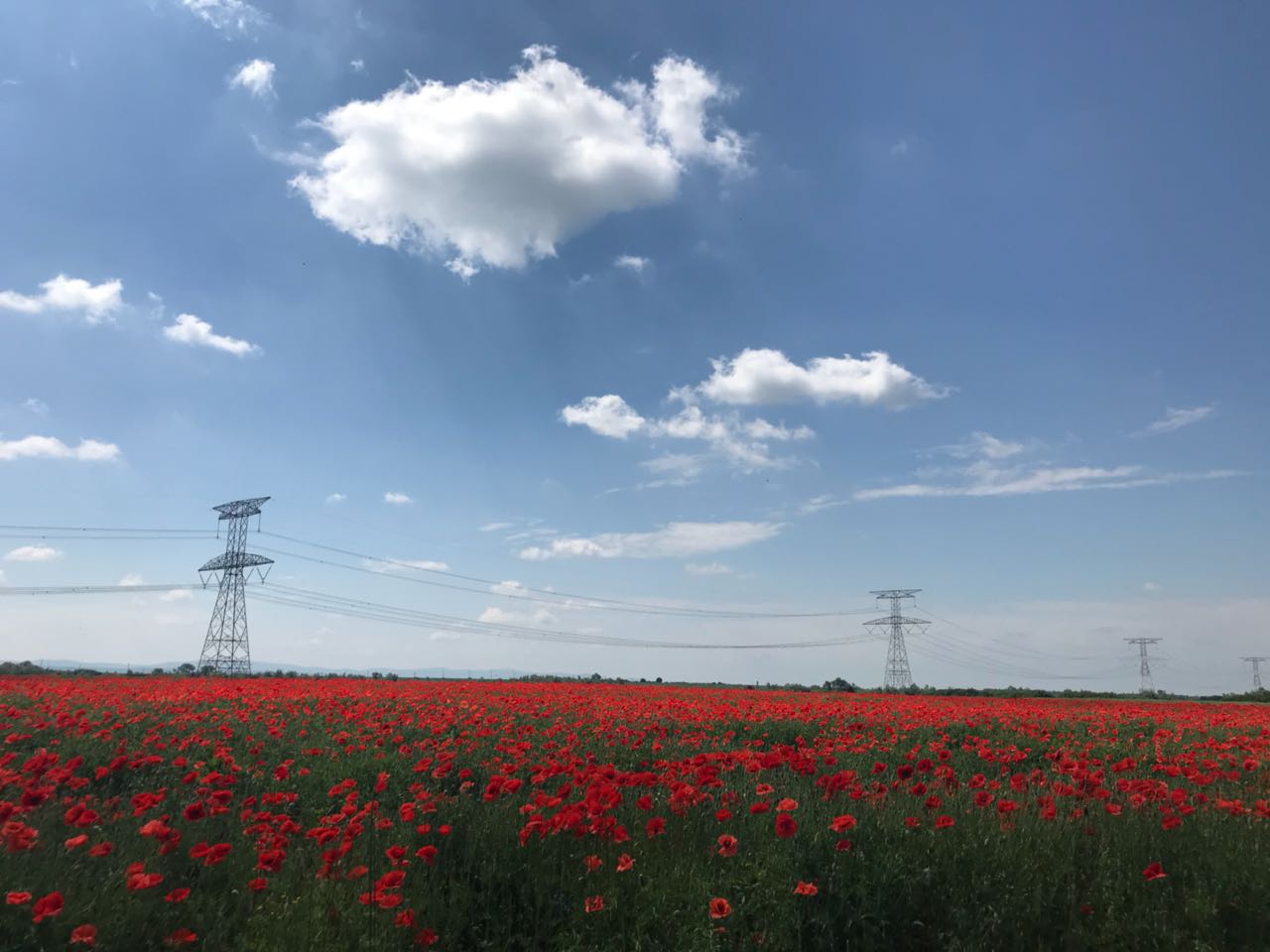 România este exportator net de energie electrică de Paște. Ploile și vântul au crescut producția din Sistemul Energetic Național