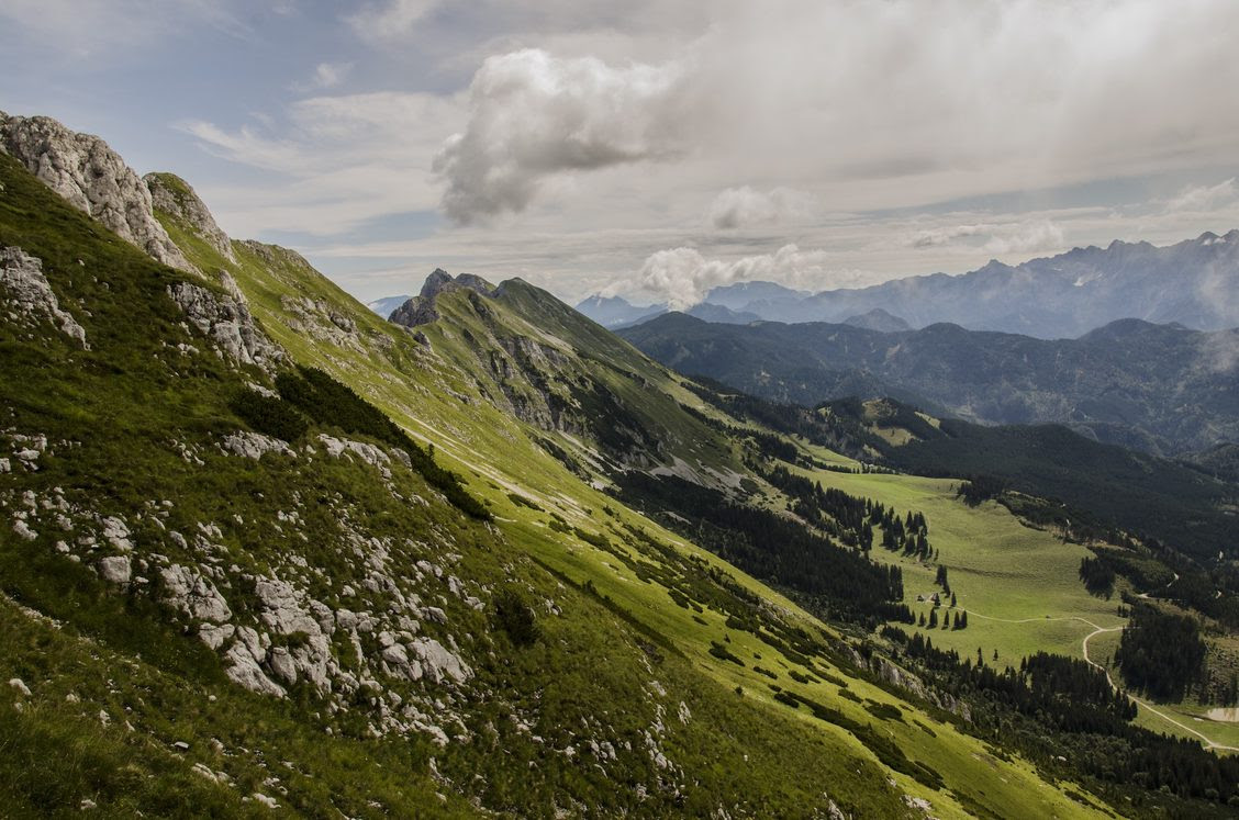 De ce ar trebui să ne uităm mai atenți la pajiștile alpine?