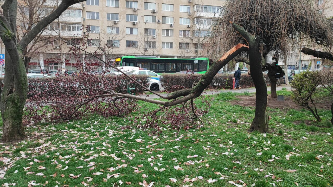 FOTO | Vântul puternic a făcut RAVAGII în Capitală: 32 de mașini au fost avariate, 41 de copaci s-au rupt, iar șase stâlpi au fost dărâmați