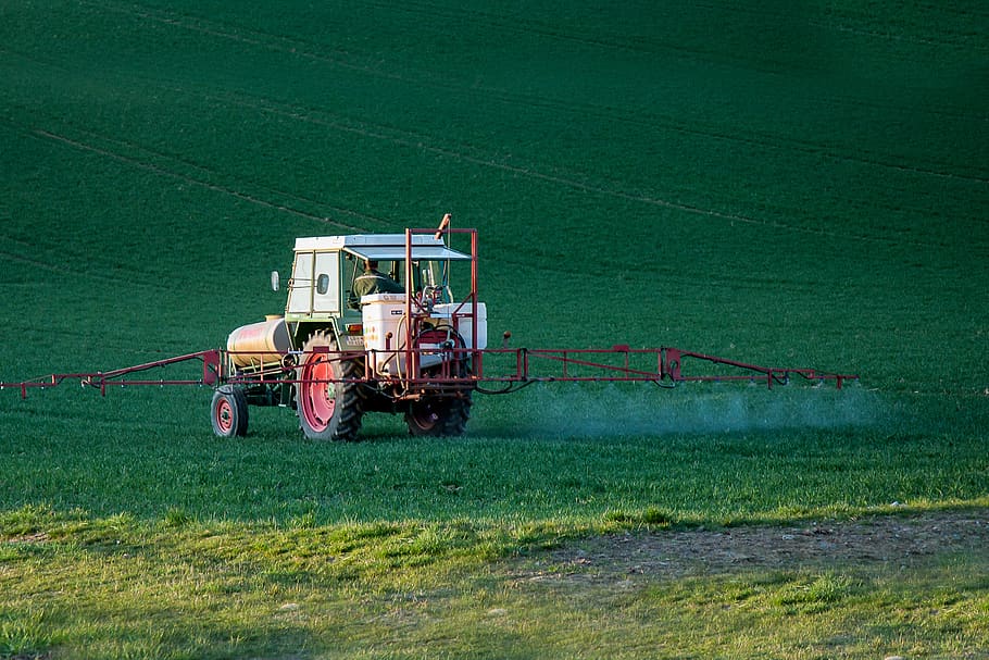 Câte PESTICIDE conțin fructele pe care le consumăm / De ce este cartoful cea mai periculoasă legumă