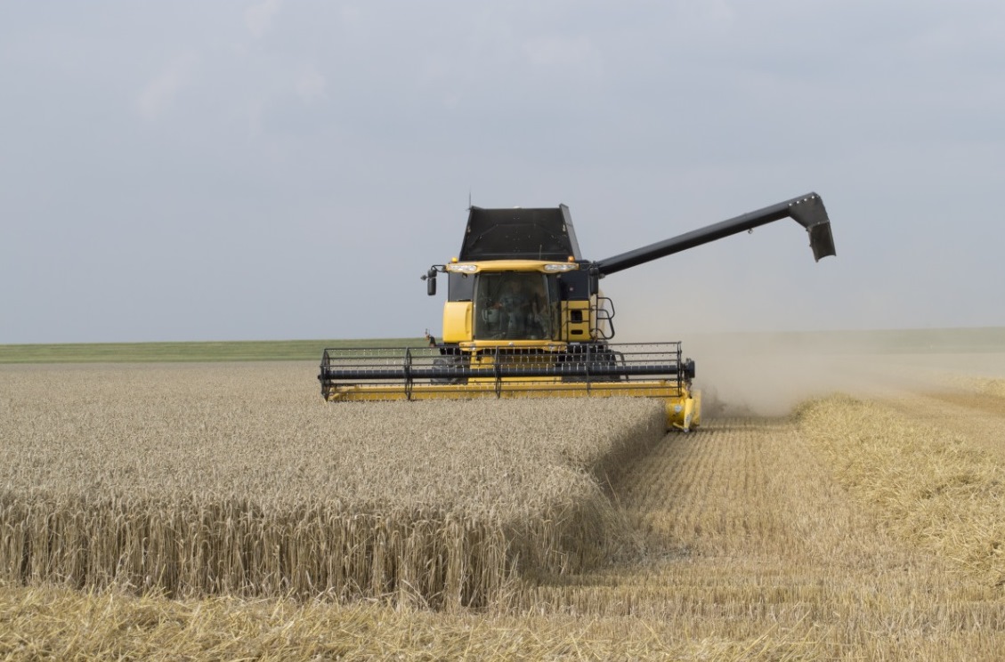 Petre Daea, anunț de ultimă oră despre importul de CEREALE din Ucraina. Cum vor fi afectați producătorii români