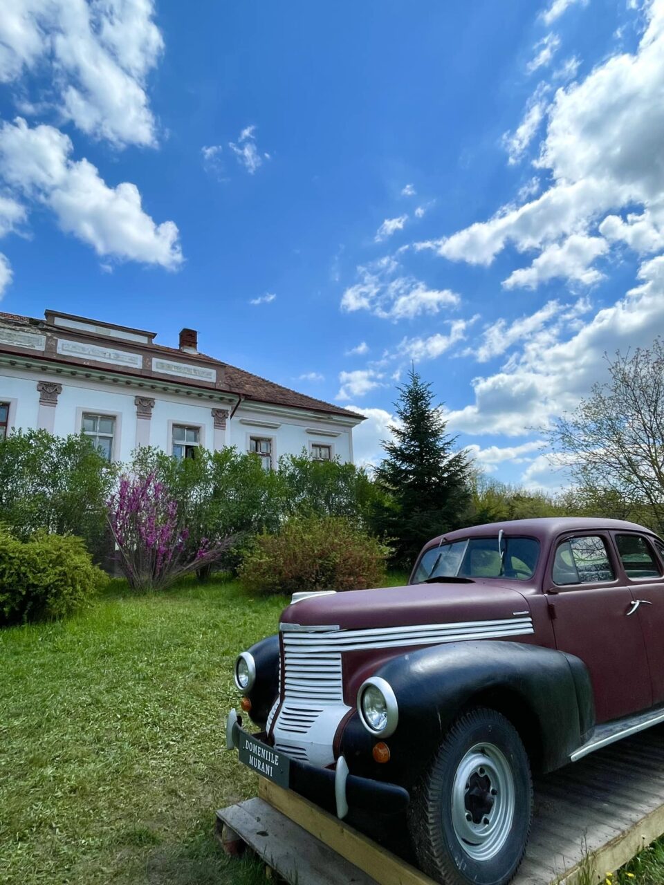 FOTO | Investiție de două milioane de euro și zero regrete! Cum a reușit Sorin să dea lovitura cu o afacere deschisă într-un SAT din România