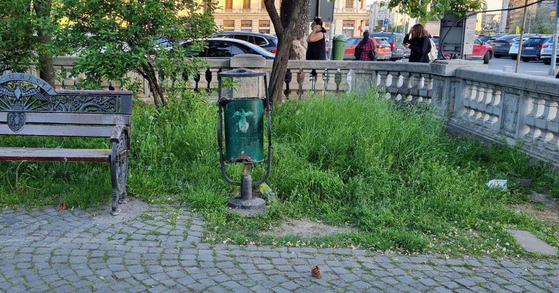 Vicepreședintele PSD Sectorul 1: „Vizitați Maidanul Ateneului!”