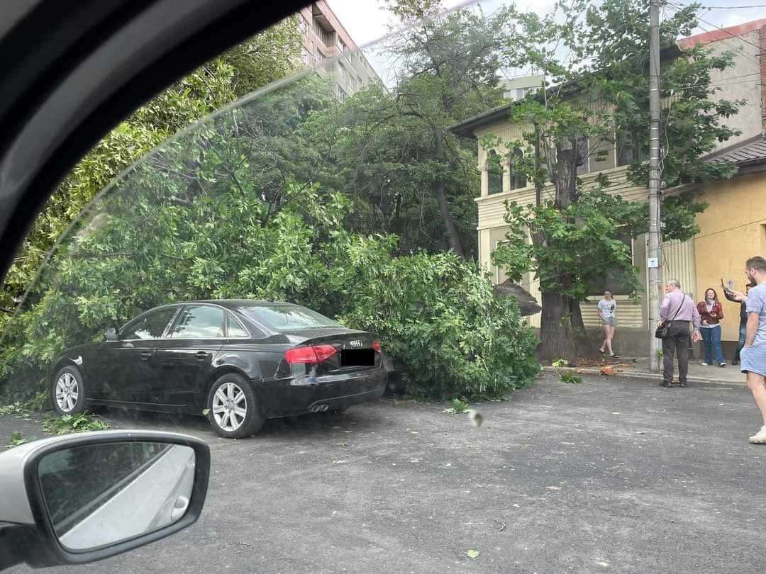 FOTO | Efectele codului galben de VÂNT puternic din Capitală: O persoană rănită, copaci doborâți de rafalele puternice și mai multe mașini distruse