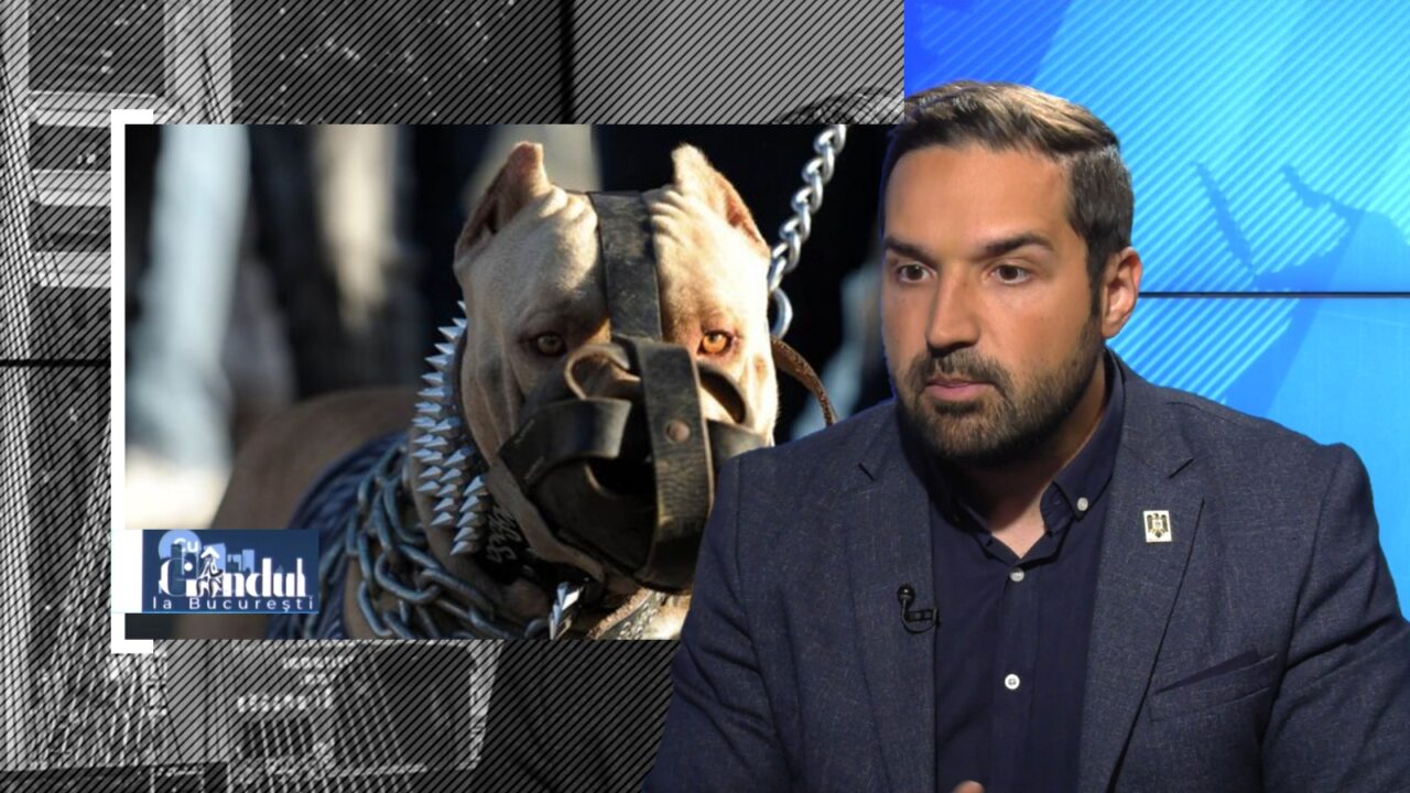 VIDEO EXCLUSIV | Tudor-Tim Ionescu: Oricând se poate repeta tragedia de pe Lacul Morii în care o femeie a murit sfâșiată de câini