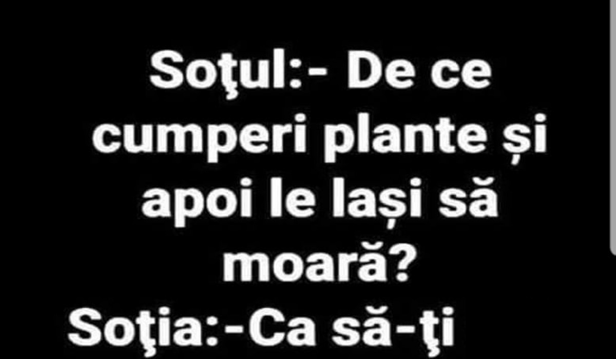 BANCUL zilei | Soțul către soție: „De ce cumperi plante și apoi le lași să moară?”