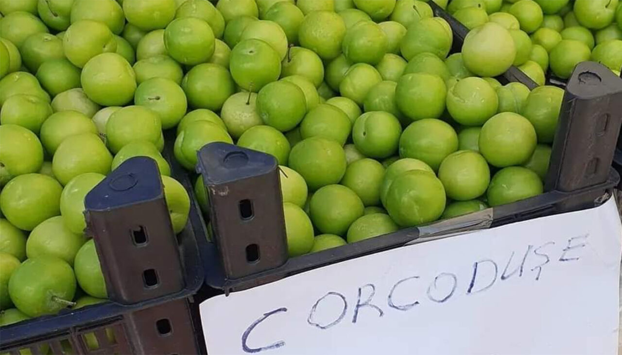 Prețurile au luat-o razna în mai 2023! Cu câți lei se vinde un kilogram de corcodușe acum, în România