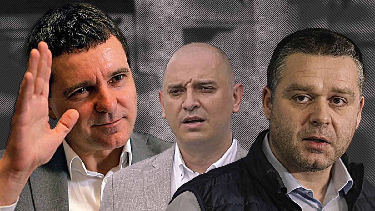EXCLUSIV | Palmierul, avizul și defrișările. Av. Radu Dinulescu: „Nicușor Dan se răzbună pe primari. E aberant să spui că niște copaci sunt ilegali”