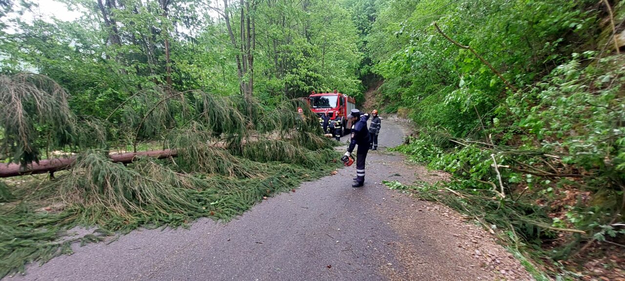 UPDATE | Cod galben de ploi și grindină în mai multe județe din România. Copaci doborâți de vântul puternic, în Cluj și Vrancea (FOTO)