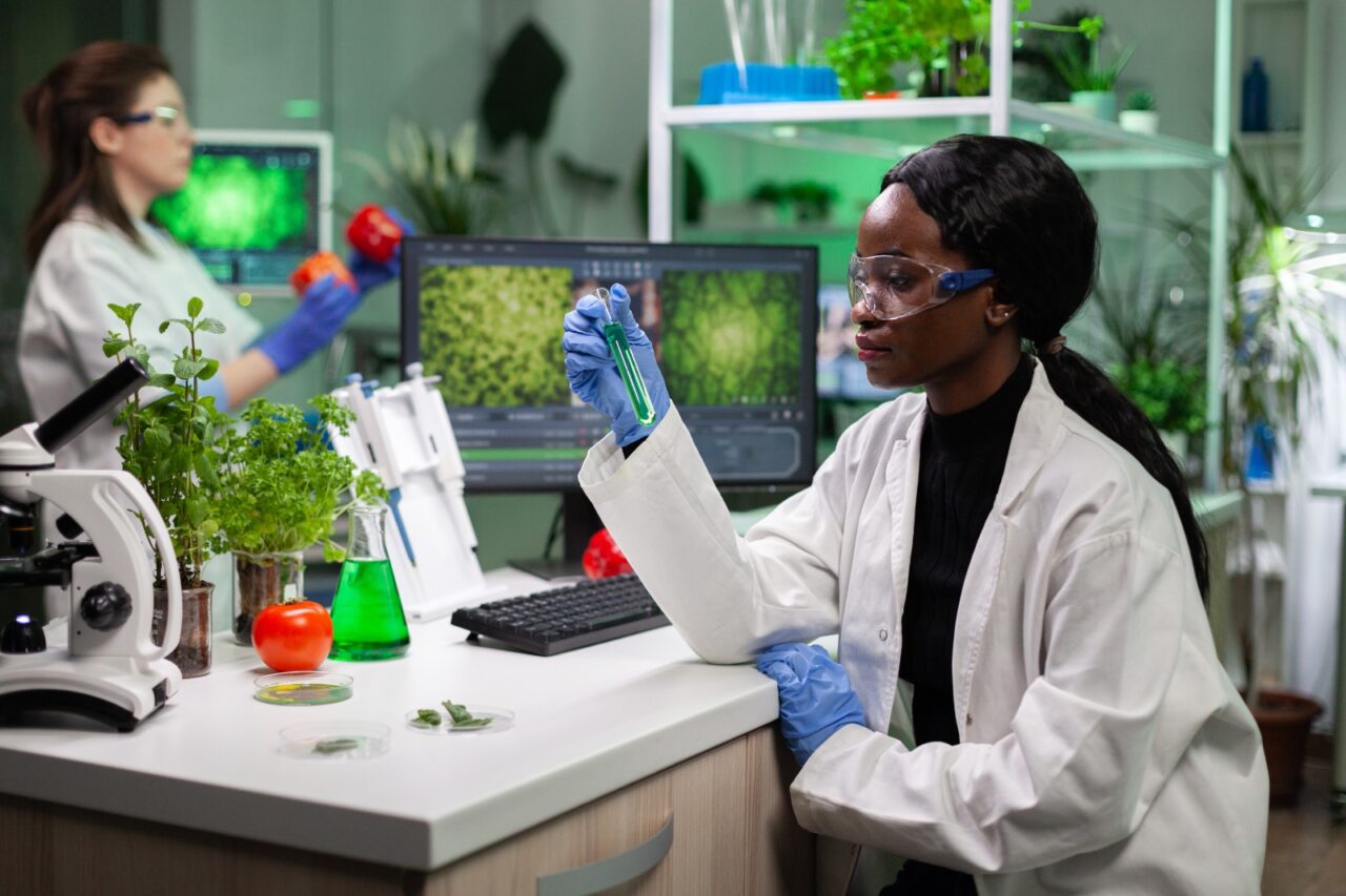 Alimente din plante sau carne obținută cu furaje modificate genetic, la secret. Ce spune noua lege referitor la organismele produse în laborator