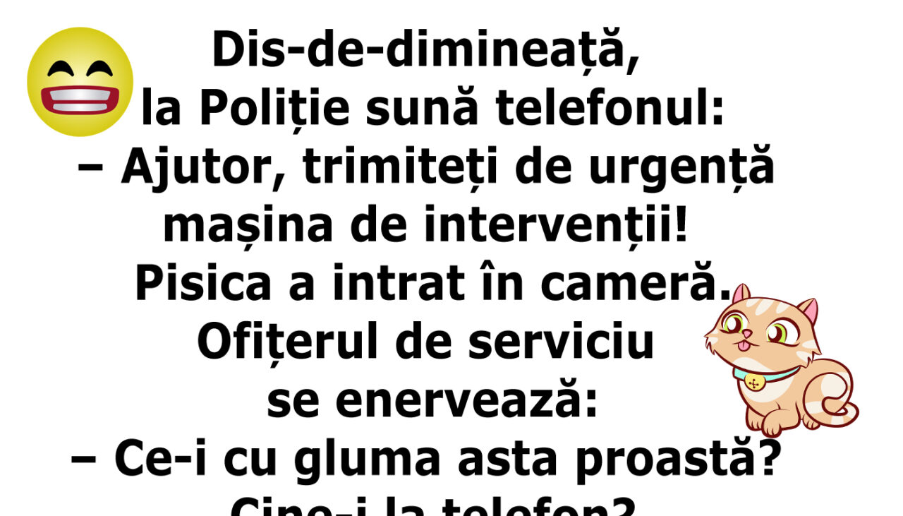 Bancul de sâmbătă | „Alo, pisica a intrat în cameră”