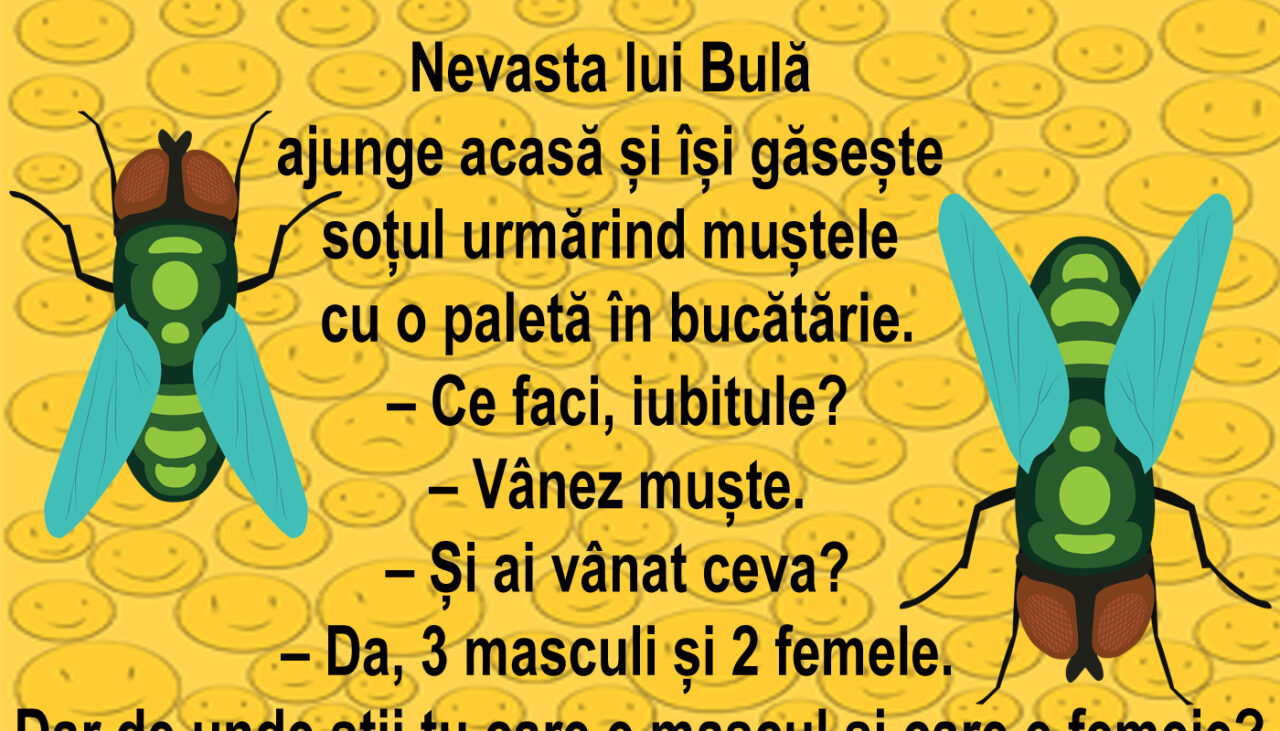 BANCUL ZILEI  | Bulă vânează muște în bucătărie