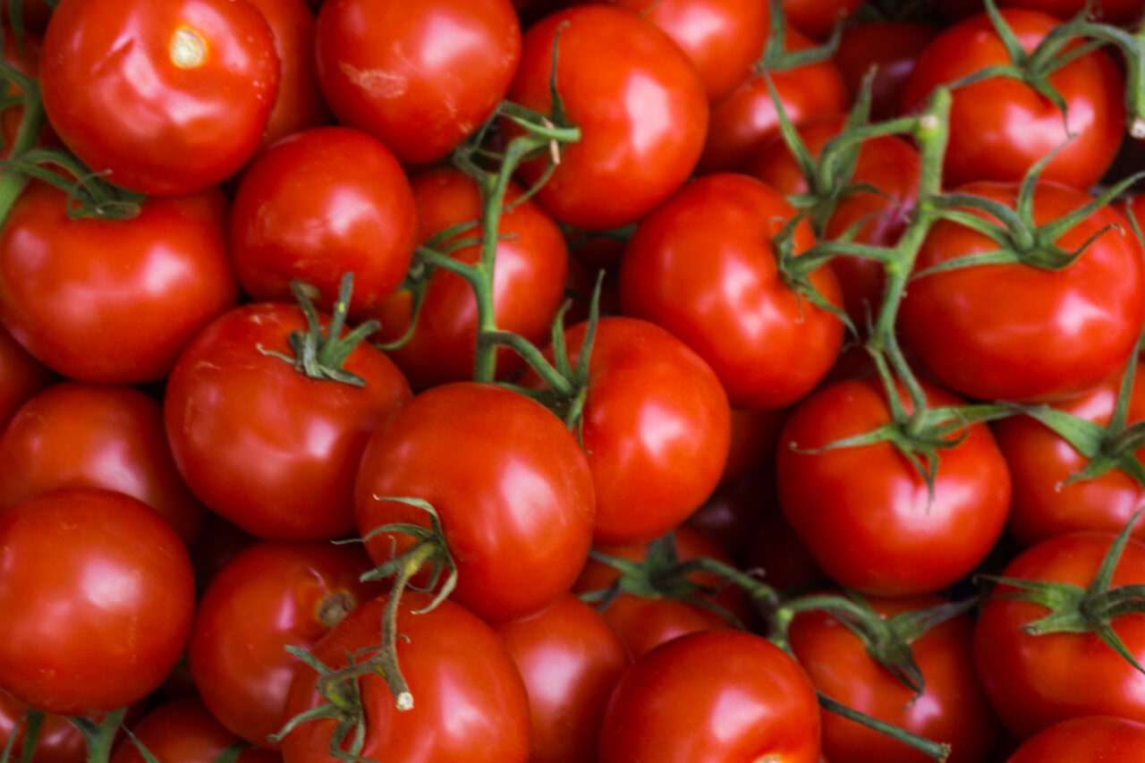 Corpul de CONTROL al Ministerului Agriculturii a ajuns la producătorii de legume din Glodeanu-Sărat. Ministrul Petre Daea s-a autosesizat în acest caz