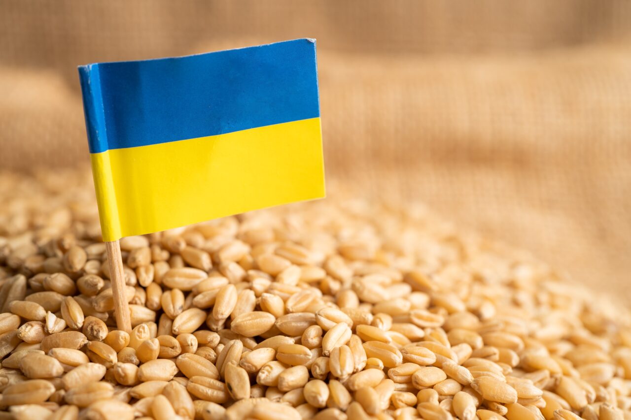 Comisia Europeană impune RESTRICȚII pentru importurile de produse agricole ucrainene. Măsura vizează și România