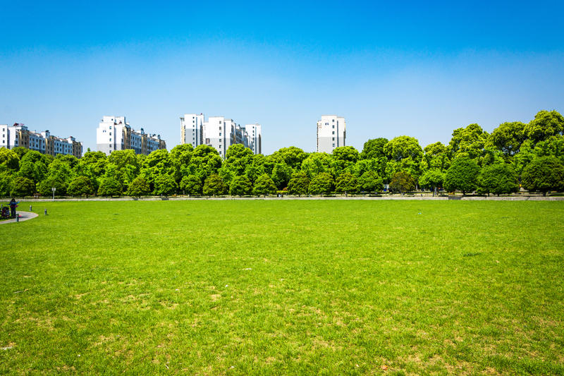 (P) Asociația BREC propune administrațiilor din București o dezbatere publică asupra spațiilor verzi